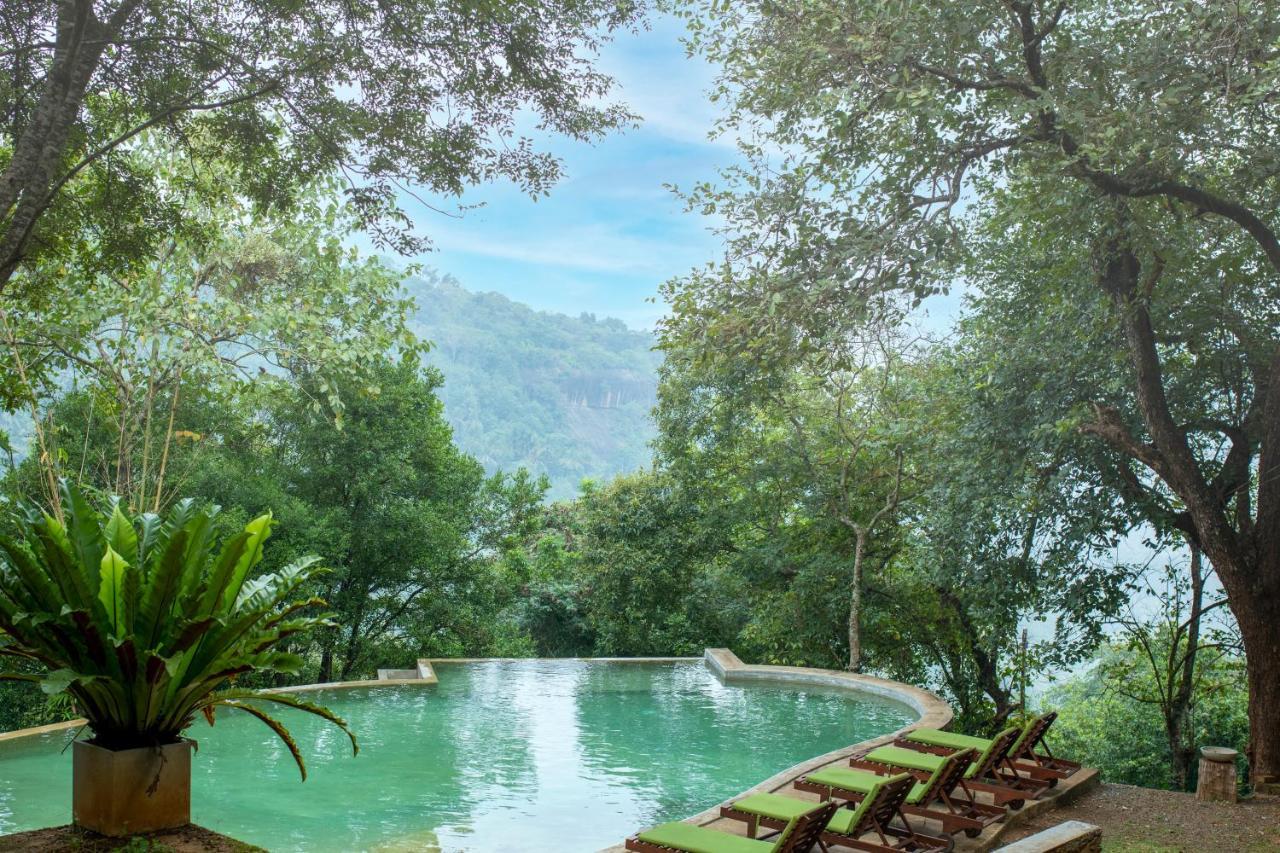 Birds Park Polgahawela Otel Wadakada Dış mekan fotoğraf
